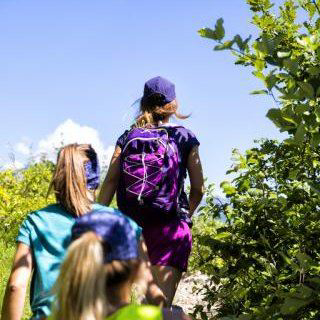 Picture for category Torbe, torbice