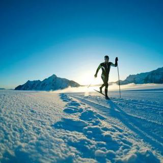 Picture for category Tekaške smuči