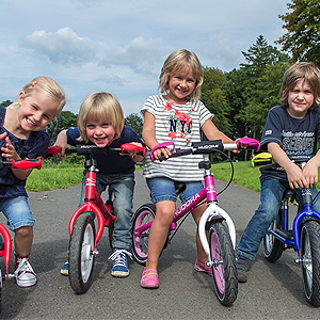 Picture for category Skiroji