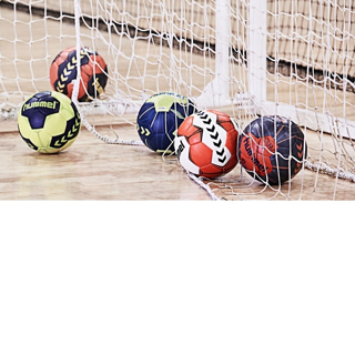 Picture for category Rokomet