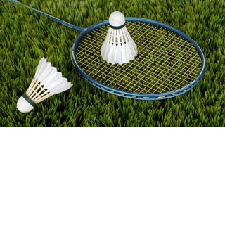 Picture for category Badminton