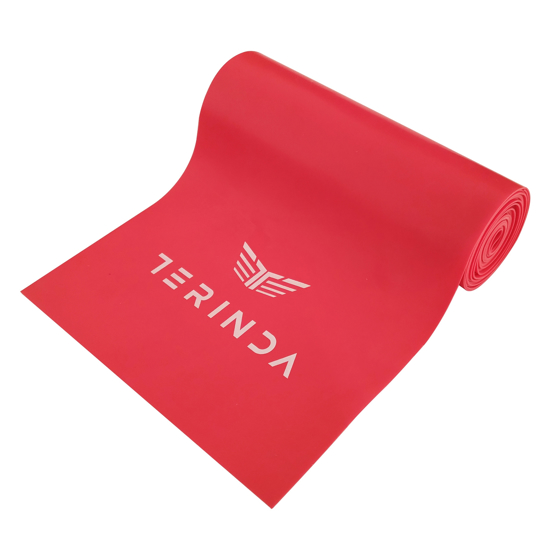 Picture of TERINDA trak za fitnes RDEČA