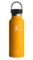HYDRO FLASK 18 oz STANDARD MOUTH WITH FLEX CAP ml starfish