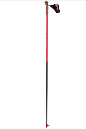 Picture of ROSSIGNOL odr tekaške palice RDL9530 FORCE 10