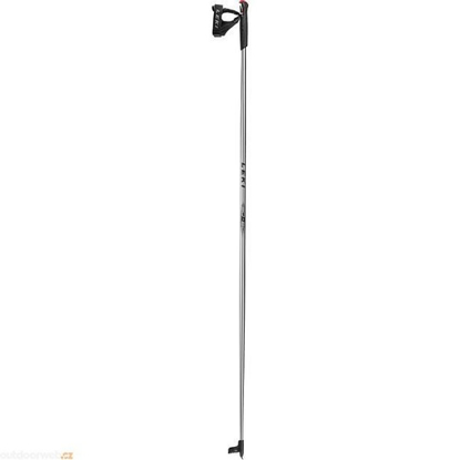 Picture of LEKI odr tekaške palice 65249021 RENTAL SKATING