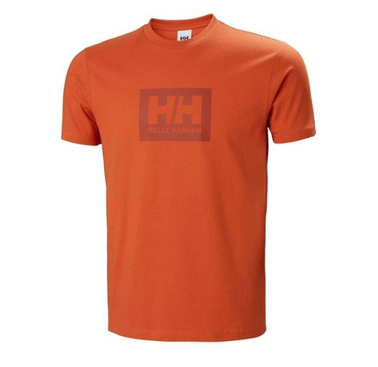 Picture of HELLY HANSEN m majica 53285 179 BOX T-SHIRT
