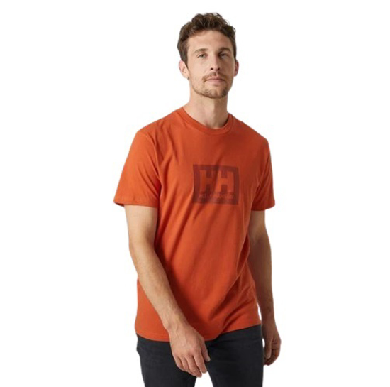Picture of HELLY HANSEN m majica 53285 179 BOX T-SHIRT