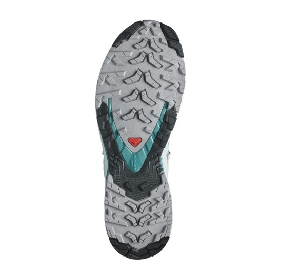 SALOMON ž trail copati 471189 XA PRO 3D V9 gull/white/bleaaq