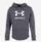 UNDER ARMOUR m kapucar RIVAL TERRY grey