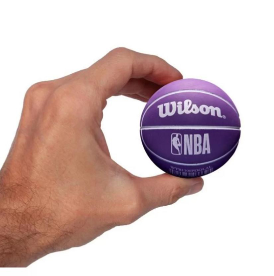 WILSON žogica WTB1100PDQSAC NBA SACRAMENTO KINGS DRIBBLER