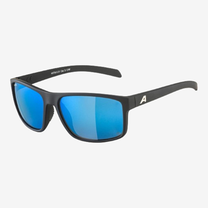 ALPINA sončna očala A8739 532 NACAN I POLARIZED blue