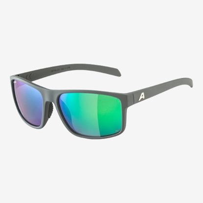 ALPINA sončna očala A8739 522 NACAN I POLARIZED grey green