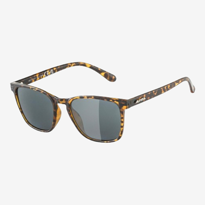ALPINA sončna očala A8737 592 YEFE POLARIZED havana black