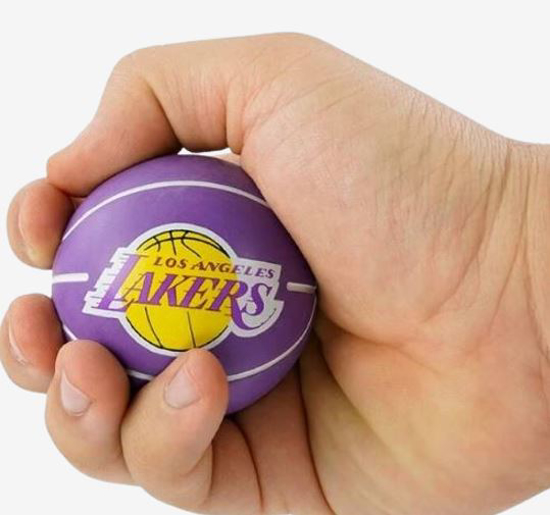 WILSON žogica WTB1100PDQLAL NBA DRIBBLER LOS ANGELES LAKERS purple