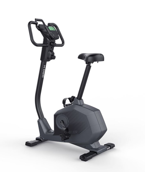 KETTLER sobno kolo HT1005-110 GIRO M