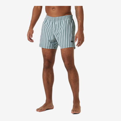 	HELLY HANSEN m kopalne hlače 34296 485 NEWPORT TRUNK grey cactus