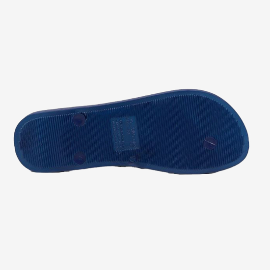 IPANEMA ž japonke 82591 24956 ANATOMIC COLORS FEM blue navy