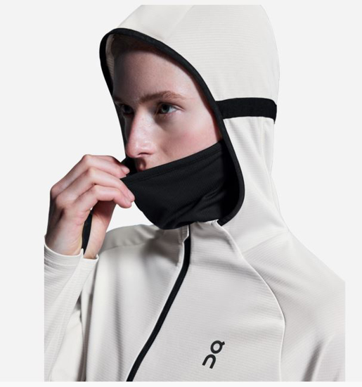 ON ž jopica 1WE10330296 CLIMATE ZIP HOODIE silver