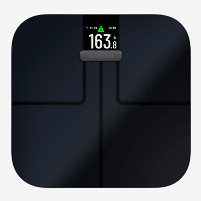 GARMIN tehtnica INDEX™ S2 010-02294-12 SMART SCALE black