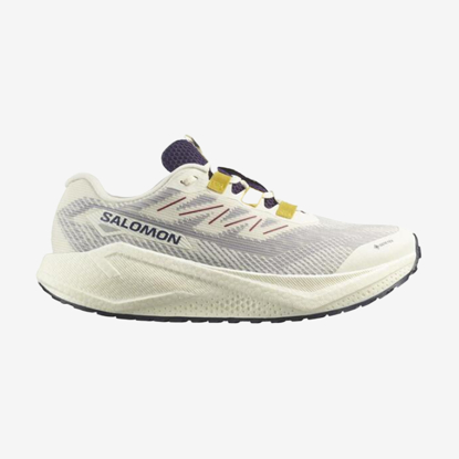 SALOMON m tekaški copati 479532 AERO BLAZE 3 GRVL GTX vanilla ice/astral aura/lemon