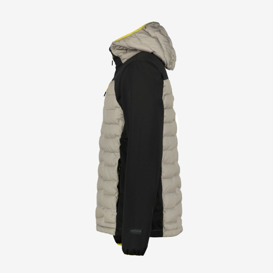 ICEPEAK m softshell 6 57907554I 245 BYHALIA brown black