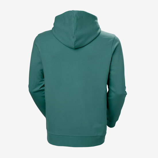 HELLY HANSEN m kapucar 54526 494 BOX HOODIE opal green