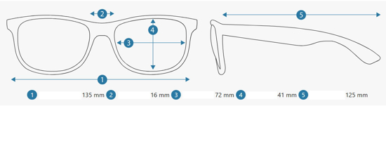 ALPINA sončna očala A8635 421 NYLOS HR gun matt