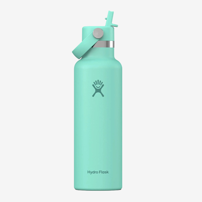 HYDRO FLASK 21 oz STANDARD MOUTH WITH FLEX STRAW CAP S21CFS344 621ml mermaid green