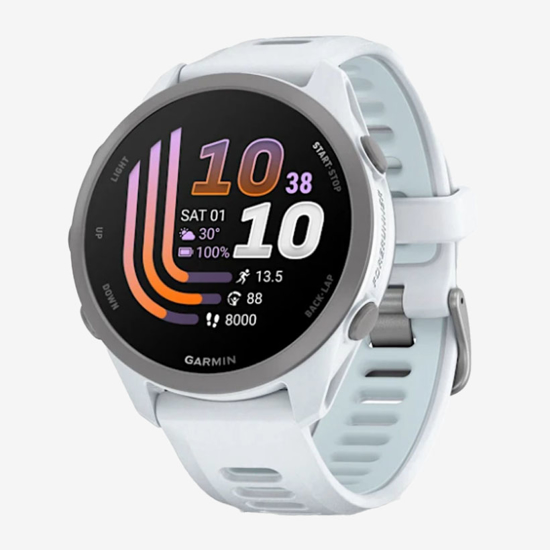 GARMIN športna ura FORERUNNER ® 170 010-03920-01 whitestone with whitestone cloud blue band