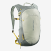SALOMON nahrbtnik 24629 VO TRAILBLAZER 10L sedona sage/seagrass/cress green