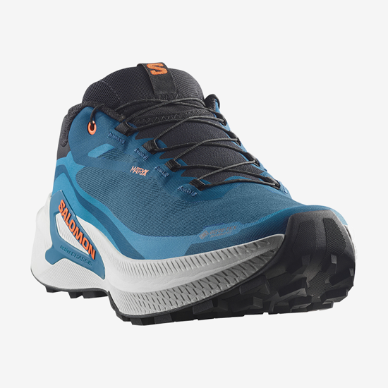 SALOMON m trail copati 493014 GENESIS 2 GTX gibraltar sea lunar rock dragon fire