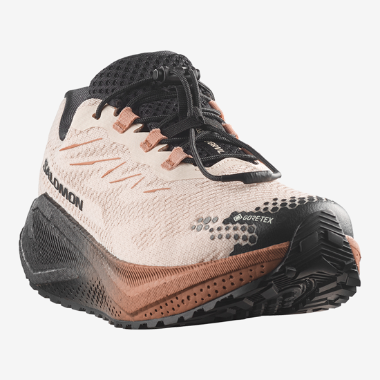 SALOMON ž tekaški copati 454039 AERO BLAZE 4 GTX vanilla ice/black/burro