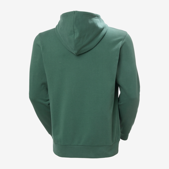 HELLY HANSEN m kapucar 54524 390 CORE GRAPHIC HOODIE jungle green