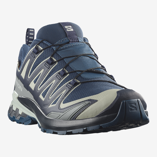 SALOMON m trail copati 491992 XA PRO 3D V9 GTX spellbound/maritime blue/wrought iron