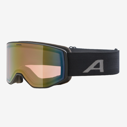ALPINA odr smučarska očala A7313 831 VENET Q black matt
