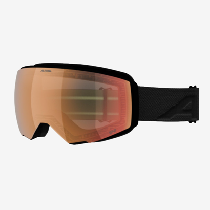 ALPINA odr smučarska očala A7328 732 GRANBY 2 QV black matt