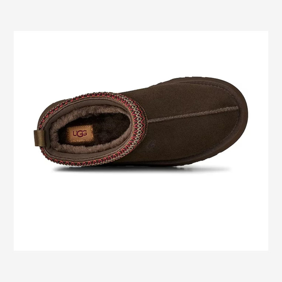 UGG ž škornji 1174471 TAZZ II dusted cocoa